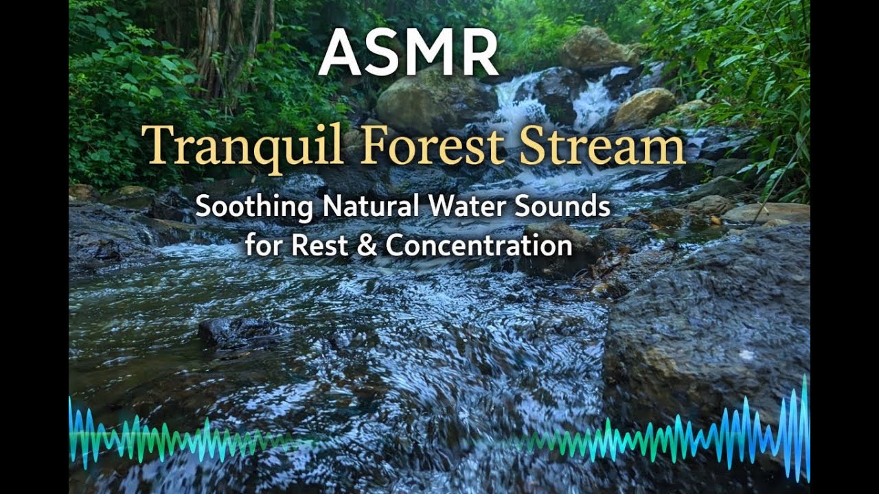 ASMR Tranquil Forest Stream | Soothing Natural Water Sounds for Rest & Concentration