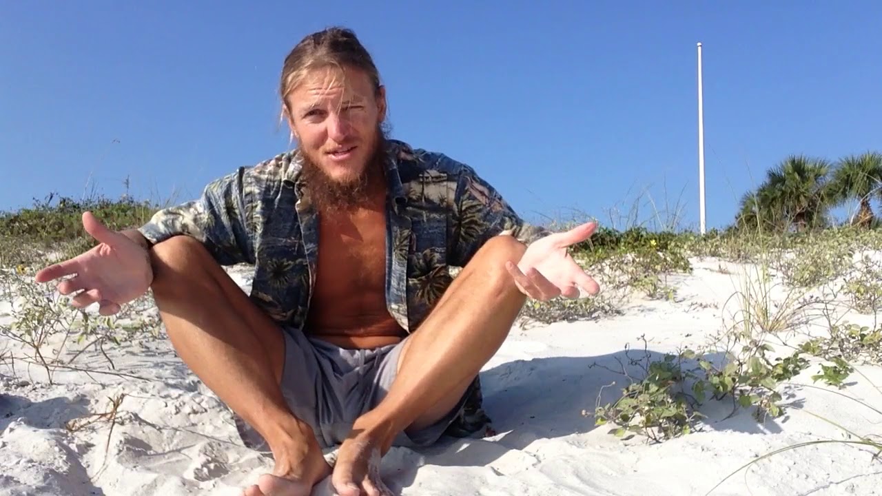 The Art of Regenerative Detoxification
