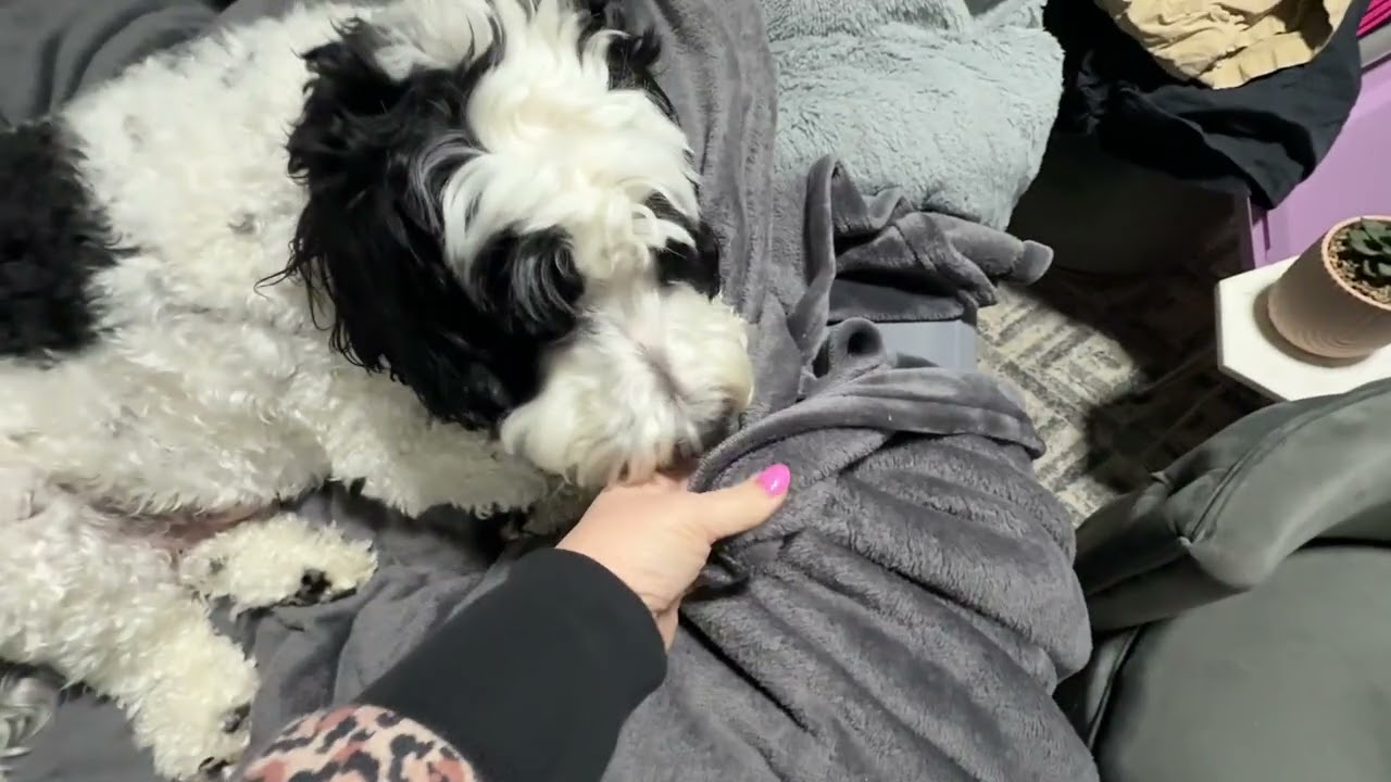 Extra Large Big Soft Blanket Fits The Whole Family ... Watch this First! #ad #amazoninfluencer