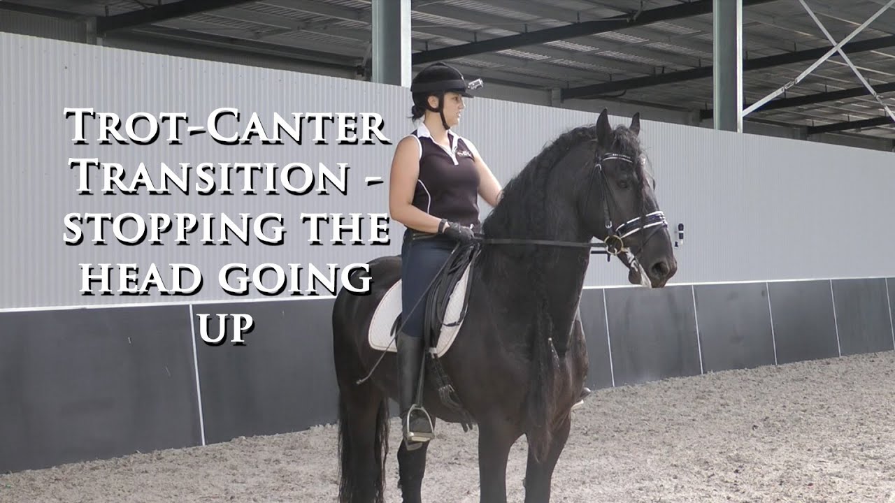 HOW TO STOP HEAD COMING UP IN TROT TO CANTER TRANSITION - Dressage Mastery TV Episode 61