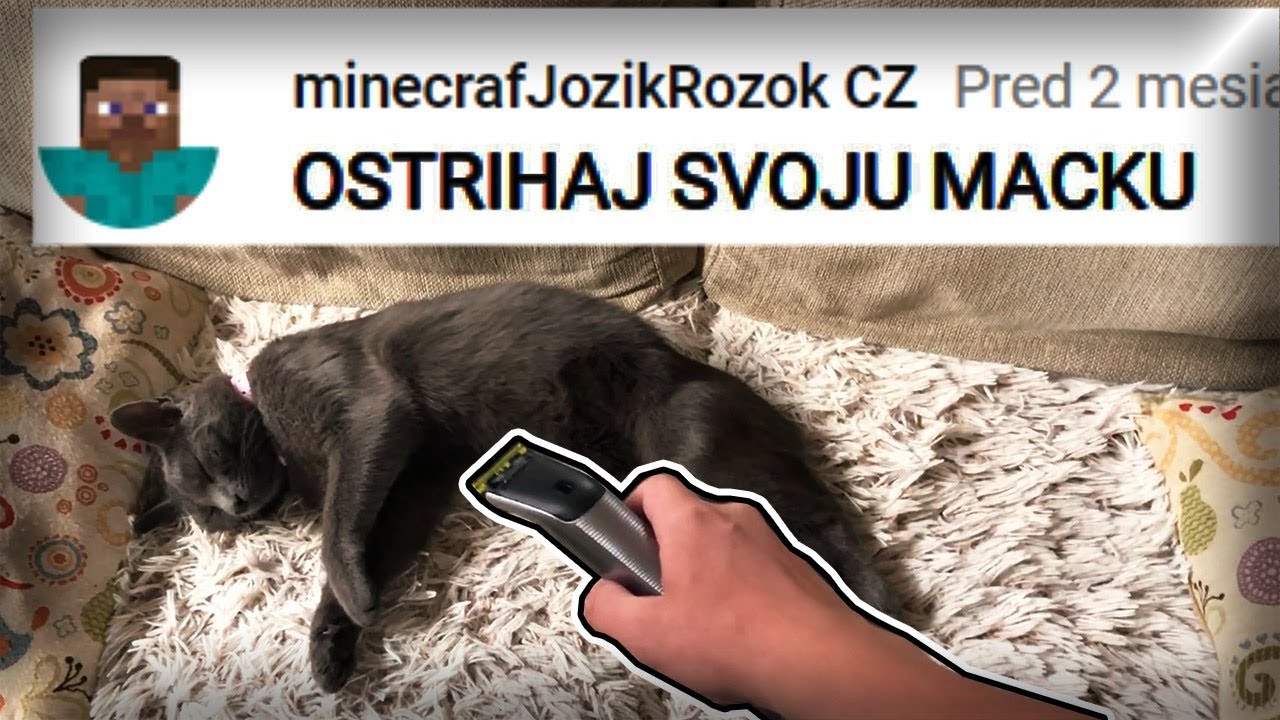 OSTRIHAL SOM SVOJU MAČKU!! | Plním vaše hardcore úlohy #11