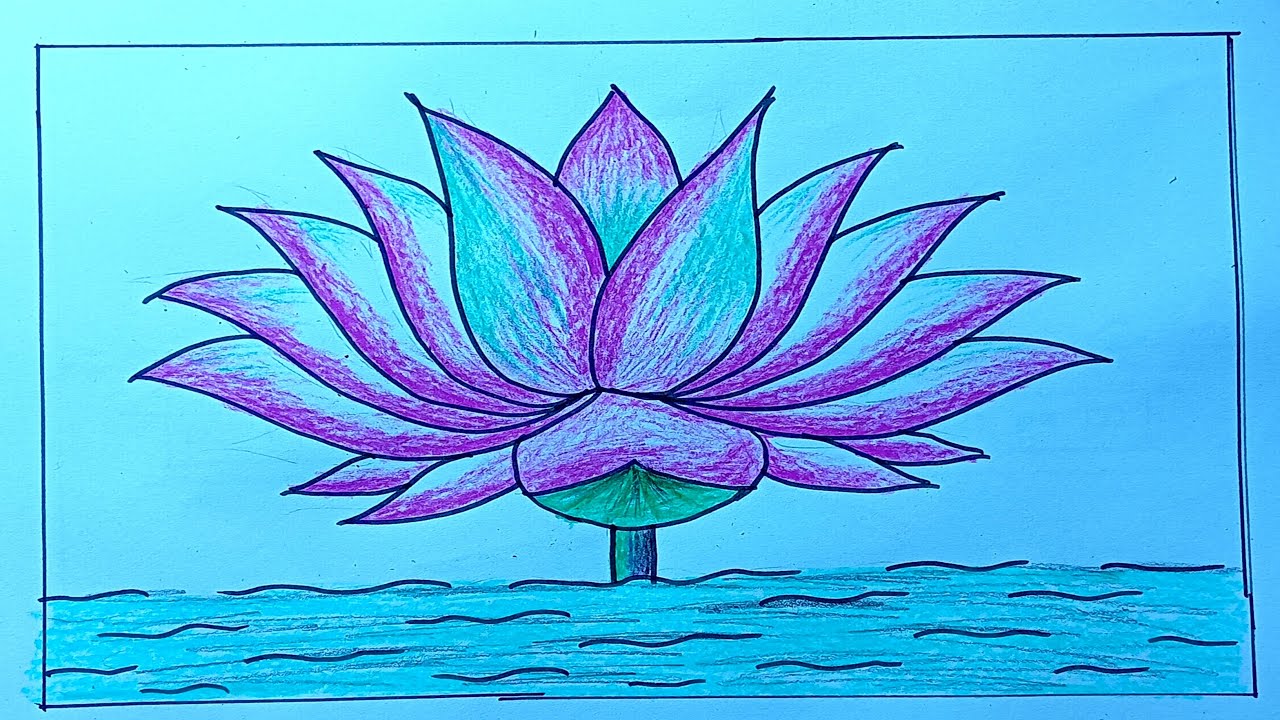 easy Lotus flower drawing for beginners / lotus drawing / flower drawing