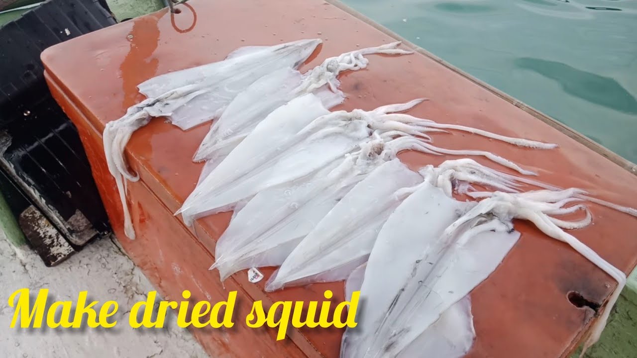 membuat sotong kering fresh terus dari atas bot...#TRF1069