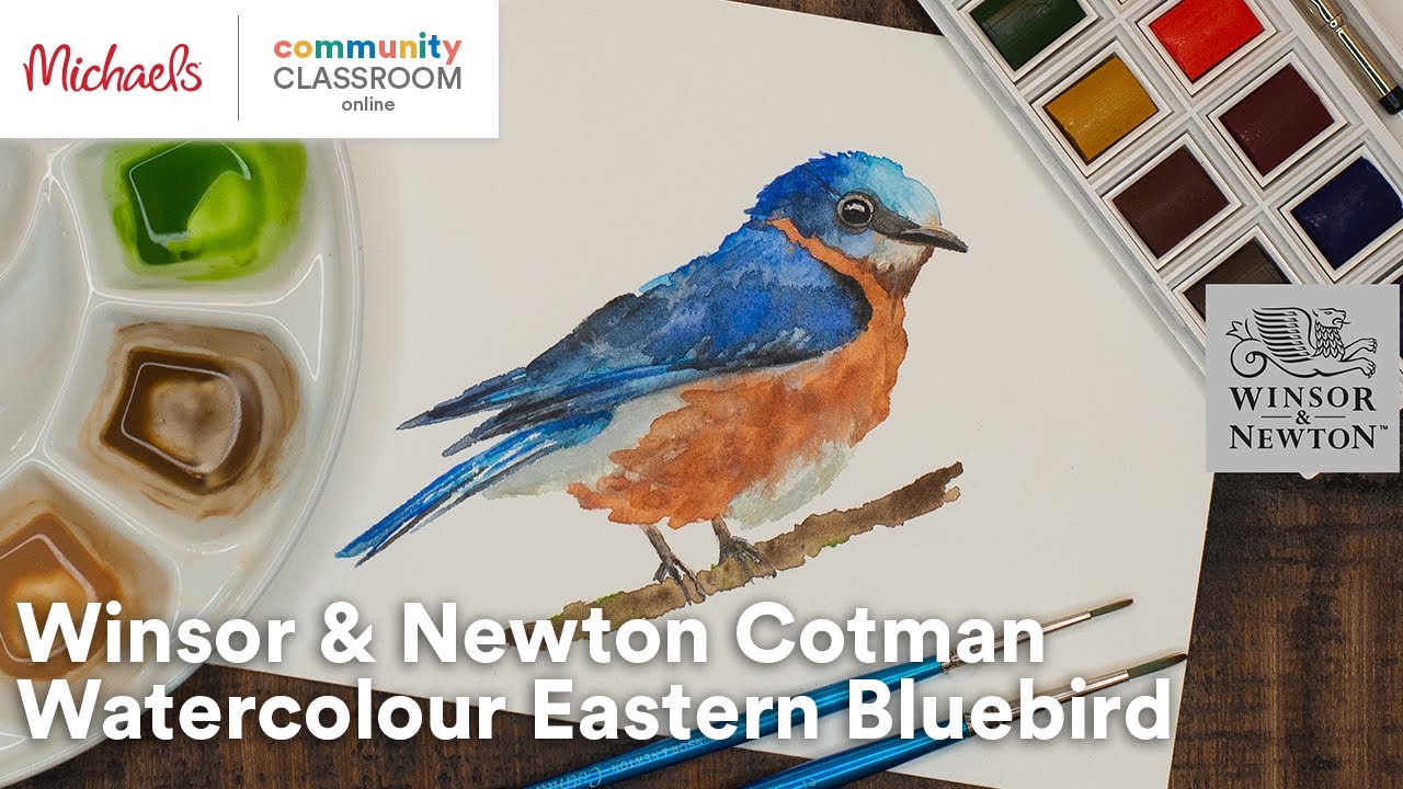 Online Class: Winsor & Newton Cotman Watercolour Eastern Bluebird | Michaels