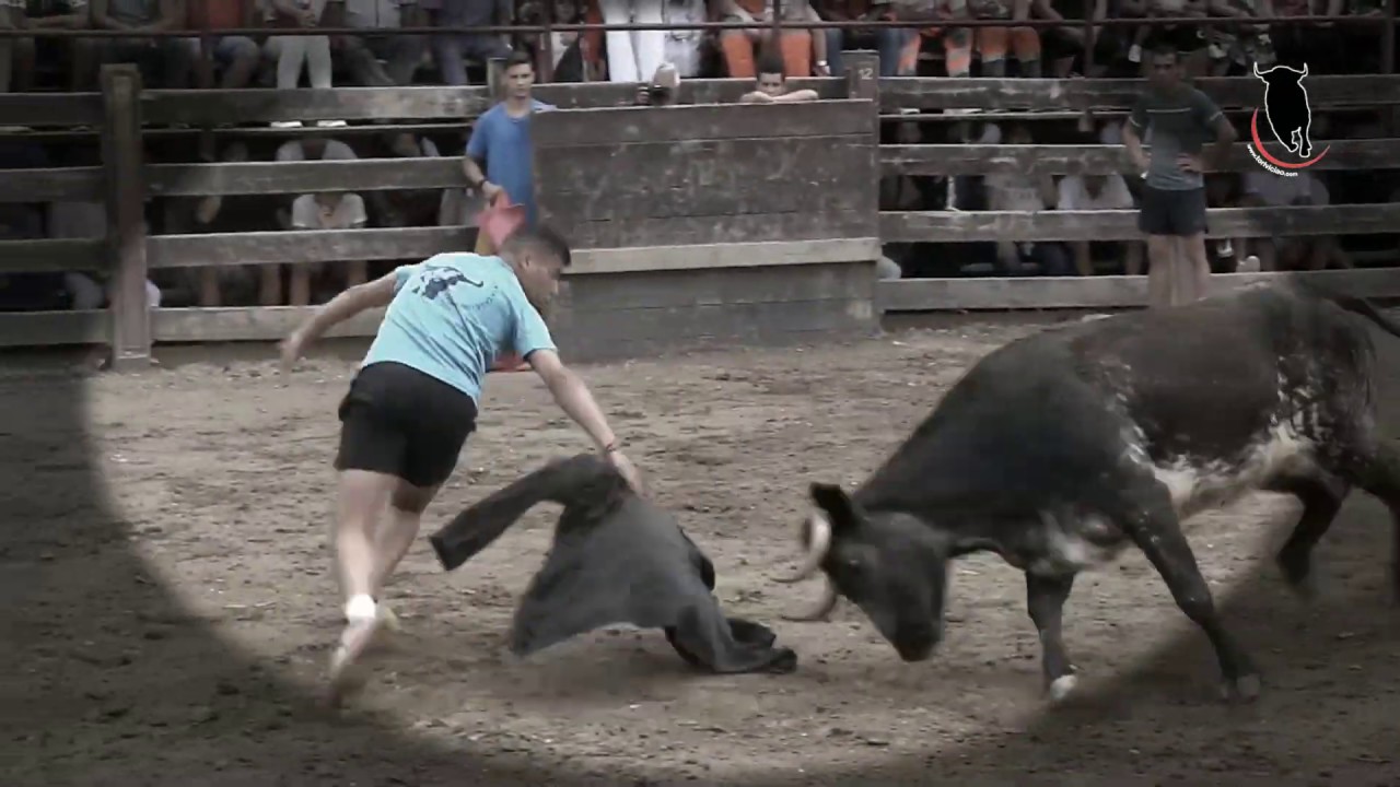 Recopilaci&oacute;n recortador Moha 2018 y 2019