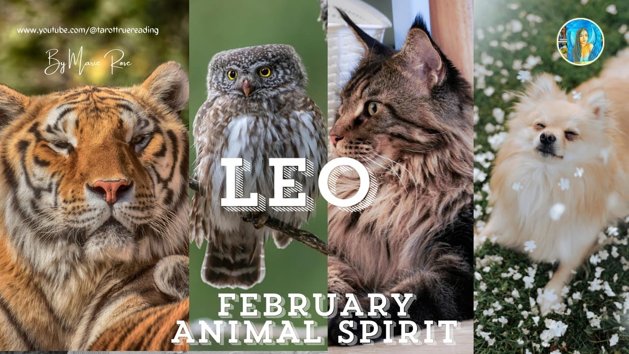 💥LEO 💥YOUR ANIMAL SPIRIT REVEALED💥IS THIS REALLY THAT GOOD⁉️😠 #leo #leohoroscope #leotarot #february