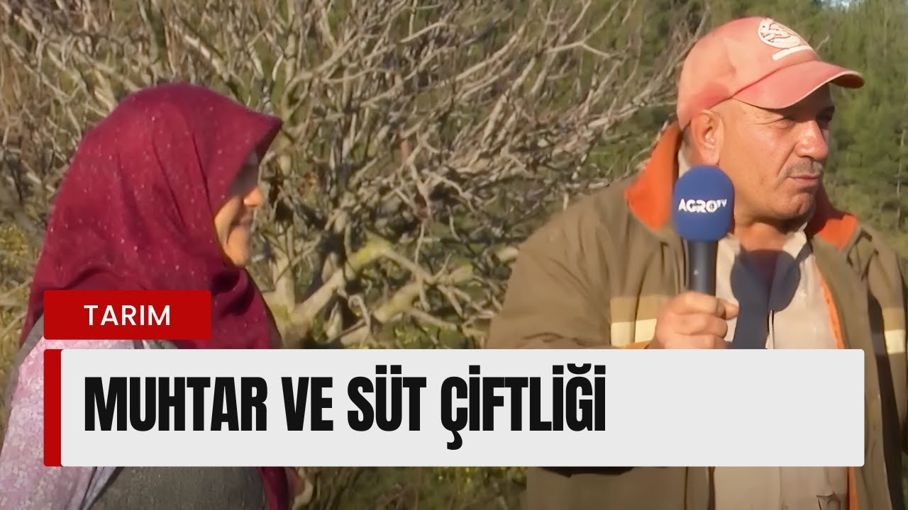 Mehmet Öztürk, Balıkesir Sındırgı'da Hayvancılıkla Uğraşan Köy Muhtarı Davut Dağlar'a Konuk Oldu