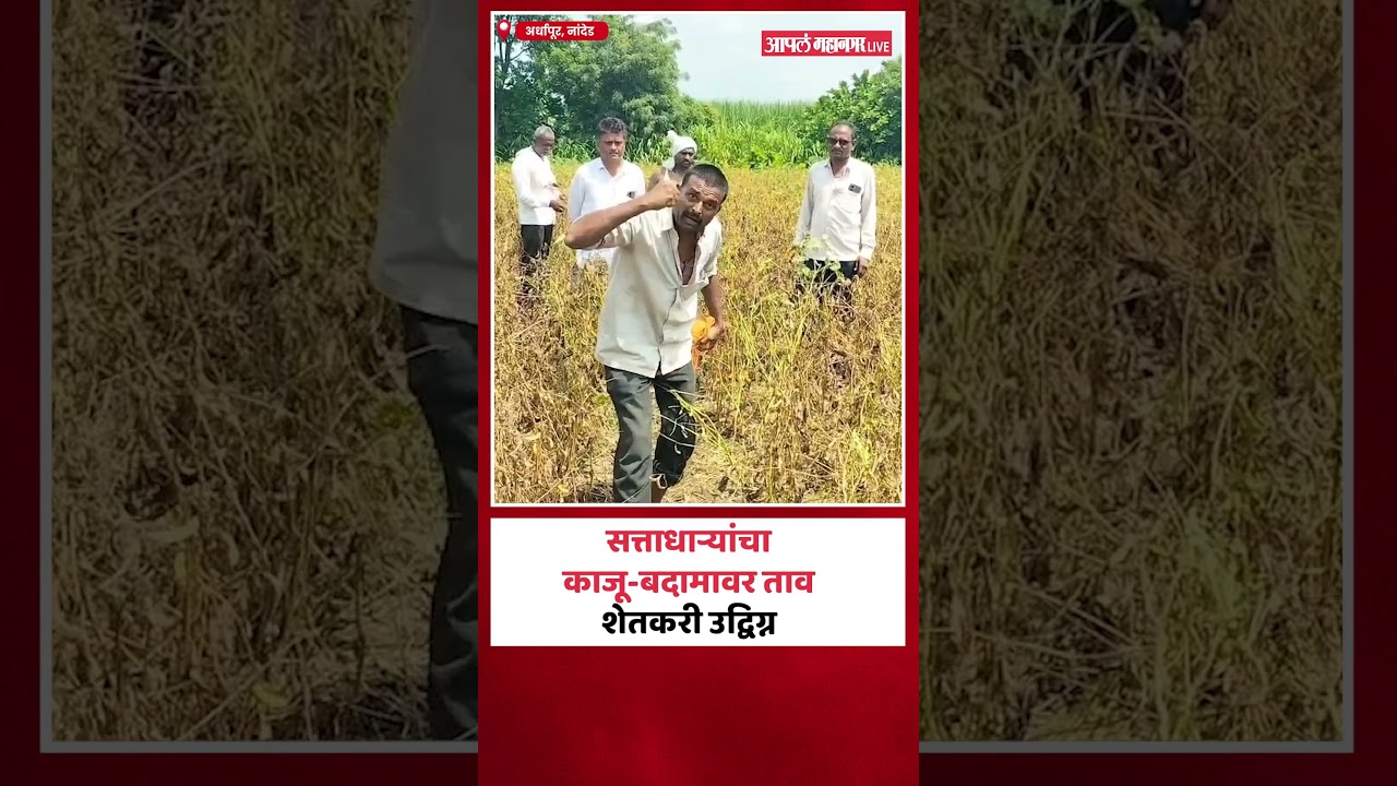 शेतात एक किलो पिकलं तर दाखवा, खासदार साहेब एक क्विंटल काजू-बदाम देतो
