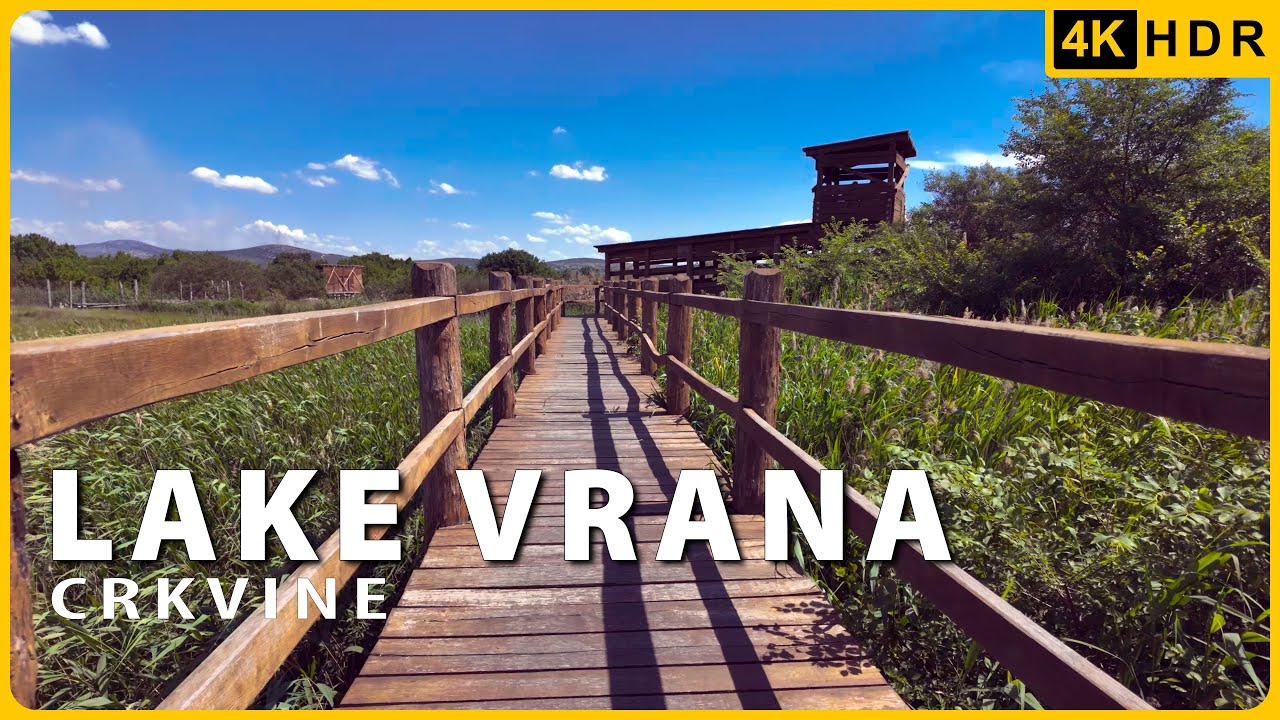 Crkvine 🇭🇷 - Birdwatcher's Paradise - Walking Tour Among 100 000 Birds