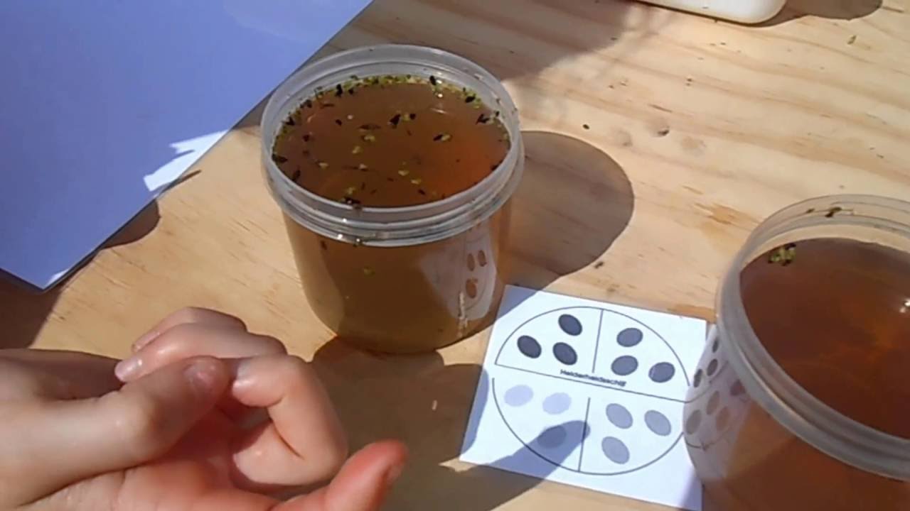 2016-06-16 Op aventoer nei de boer groep 7