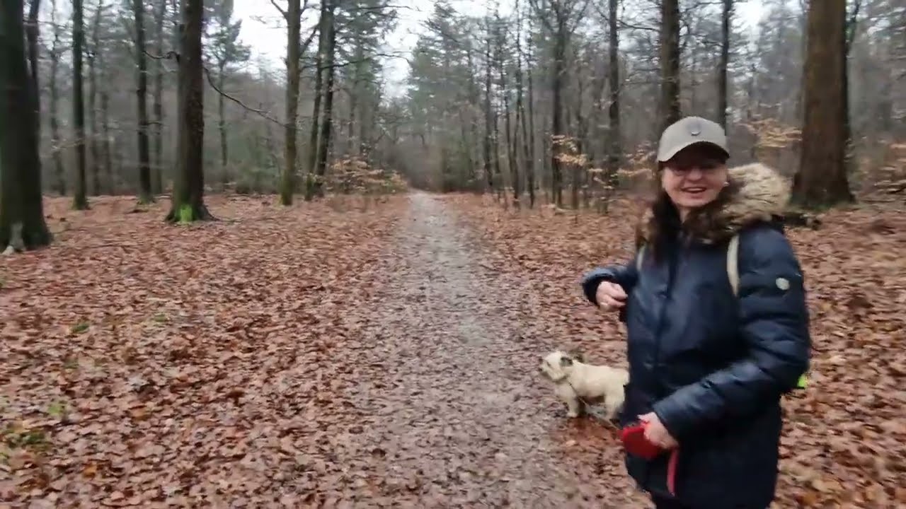 In de Rimboe , Ermelo #143