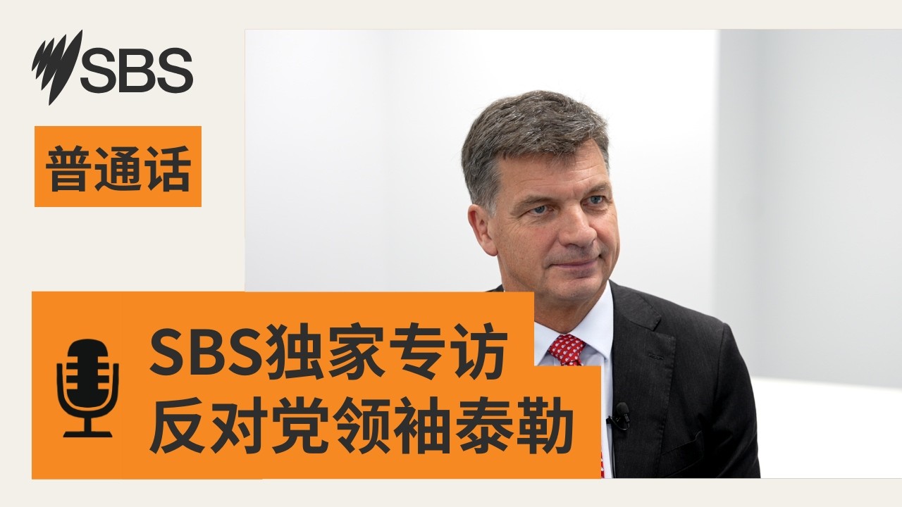 【独家专访】反对党领袖安格斯·泰勒谈移民与澳中关系 | SBS Mandarin - SBS 普通话电台