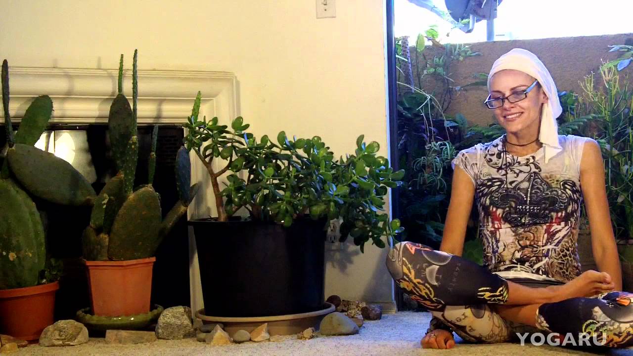 УПРУГОСТЬ МЫШЦ ЯГОДИЦ 2 YOGA LIVE