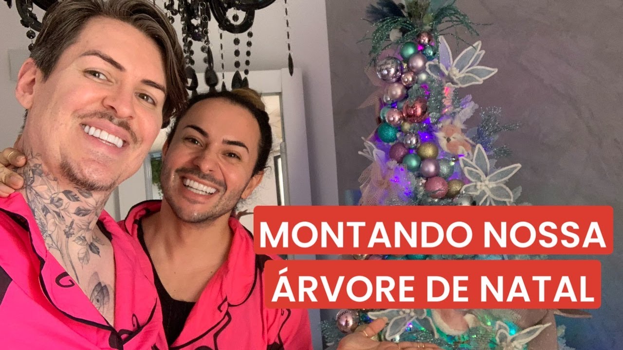 Vlog montando nossa árvore de natal!