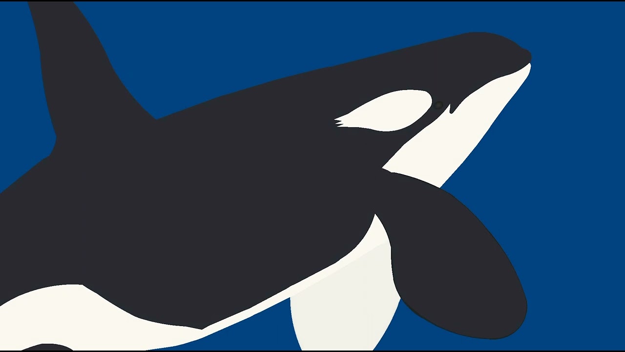 orca vs baleia cachalote  sitick nodes