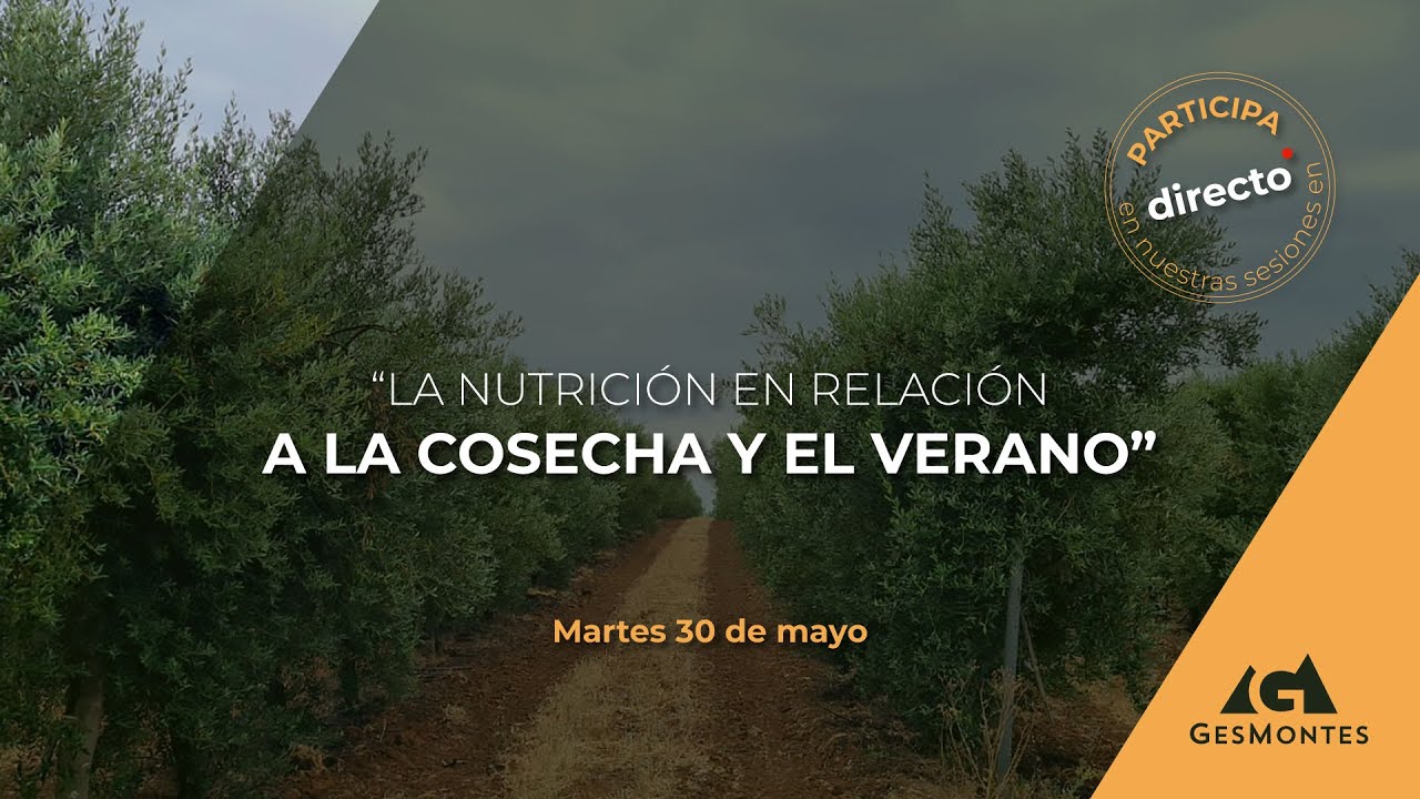 LA NUTRICIÓN EN RELACIÓN A LA COSECHA Y EL VERANO