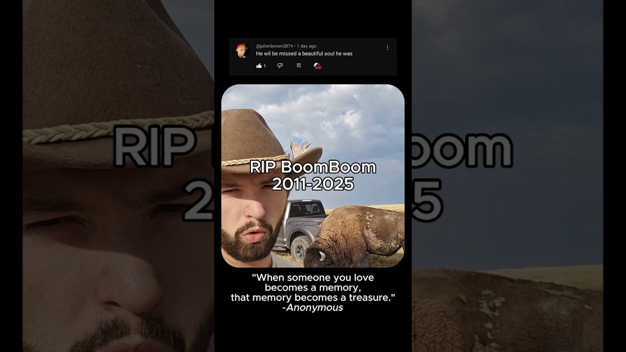 Goodbye BoomBoom... We miss you!