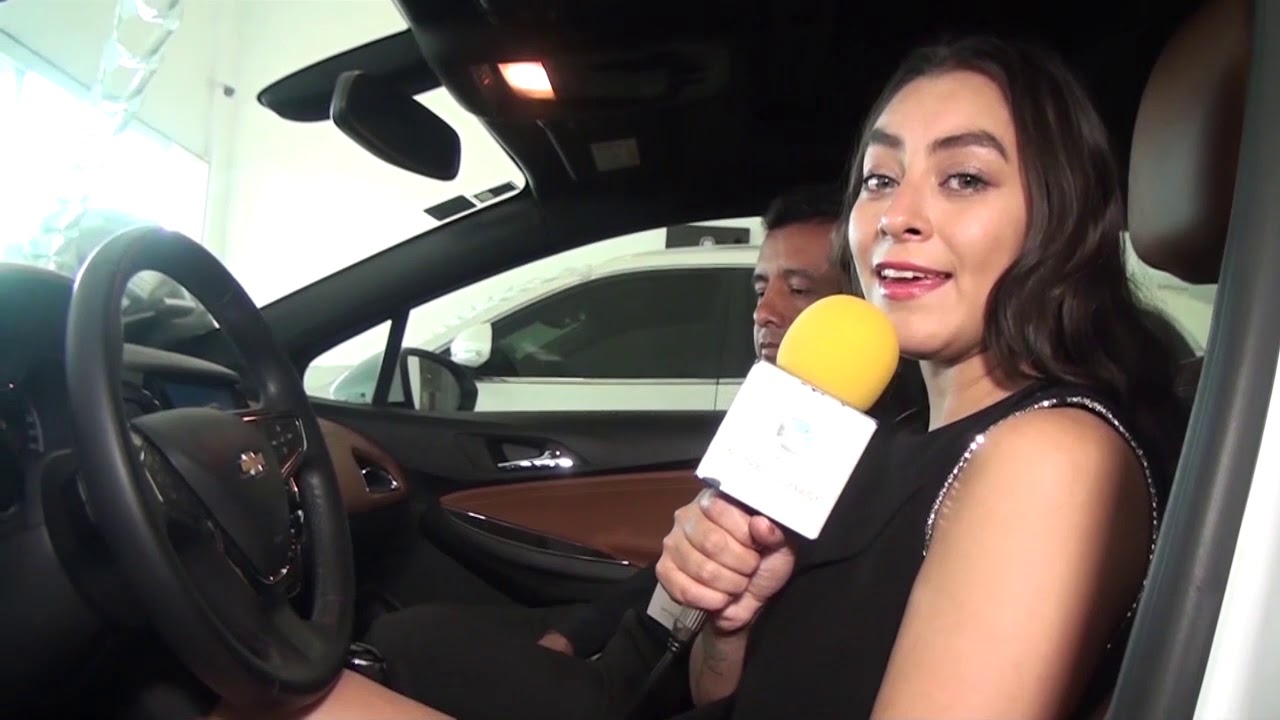 PEREGRINA SAN MARTIN AUTOS SEMINUEVOS.