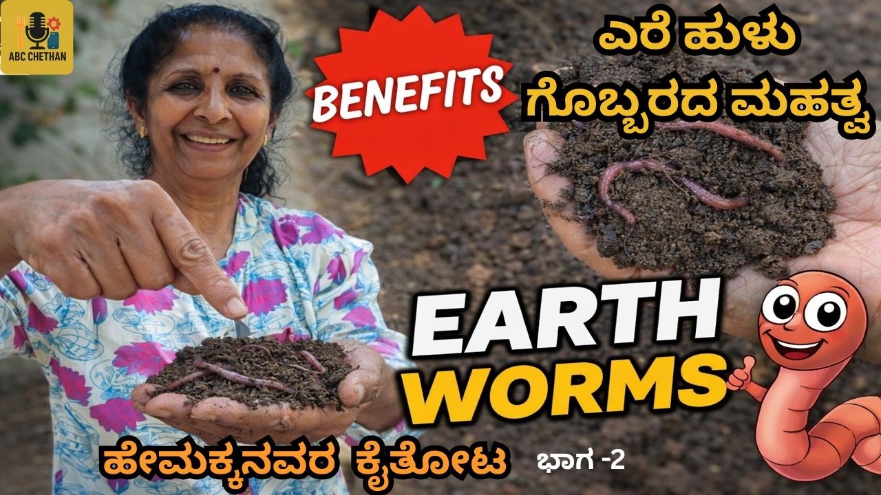 ಎರೆ ಹುಳು ಗೊಬ್ಬರದ ಮಹತ್ವ |Earthworms in Soil | Amazing Benefits for Your Garden 🌱|