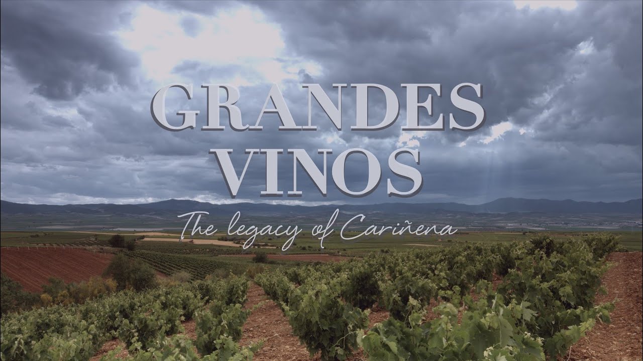 Grandes Vinos - Corporate video: From Cari&ntilde;ena to the world