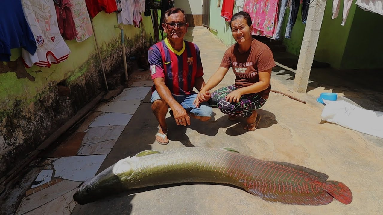 O MELHOR JEITO DE PEGAR UM PIRARUCU COM VARA DE BAMBU!!