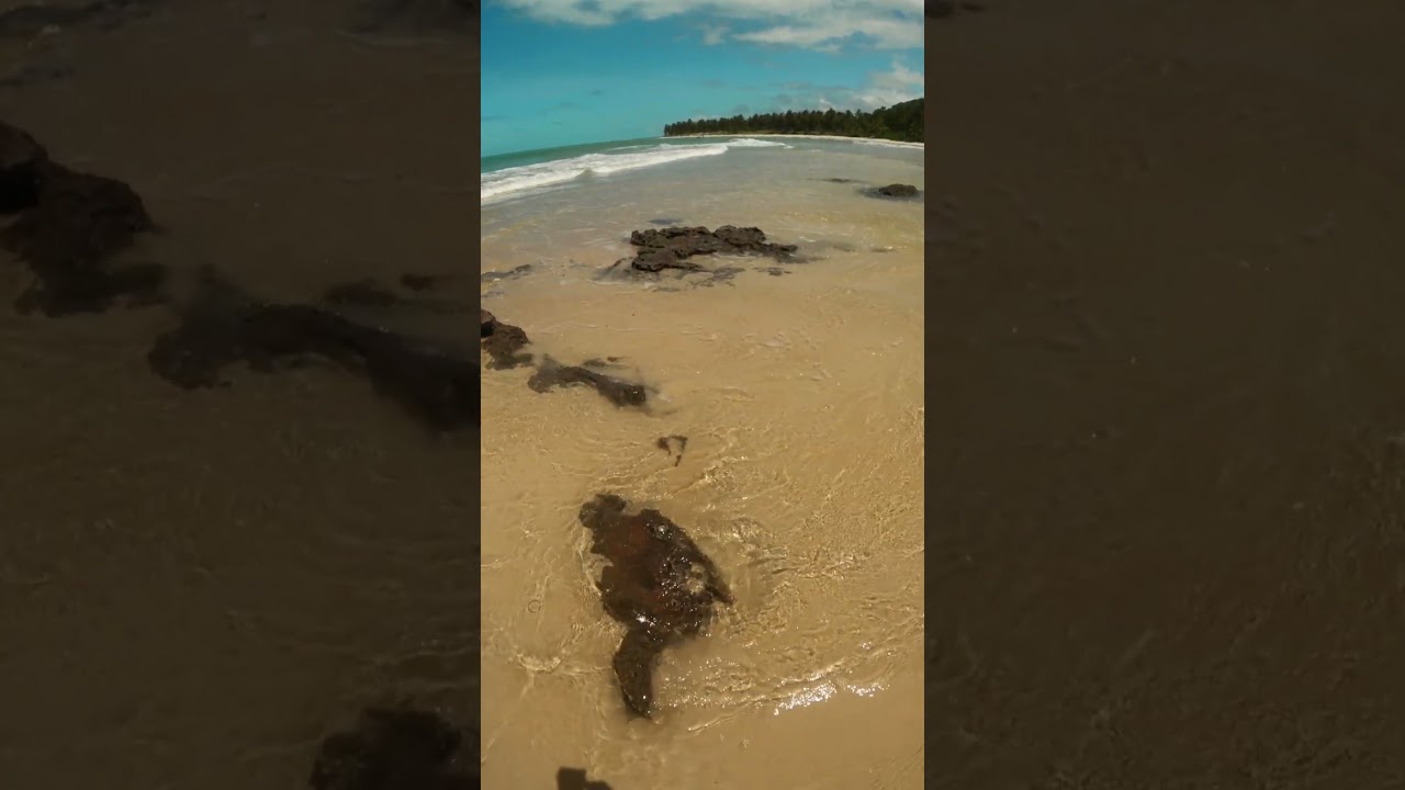 Praia de Pituba, Coruripe, Alagoas