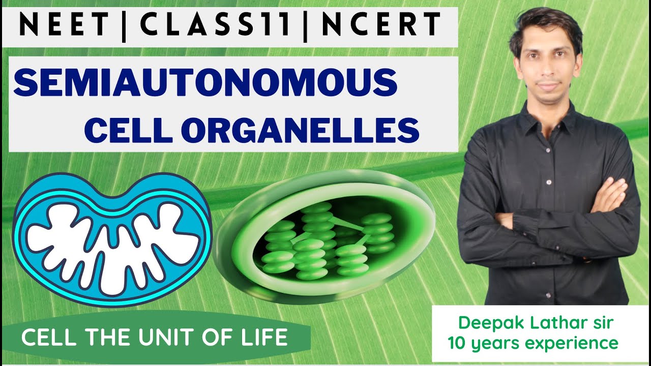 Semiautonomous Nature of Mitochondria and Chloroplast| Semiautonomous Cell Organelles | Chloroplast