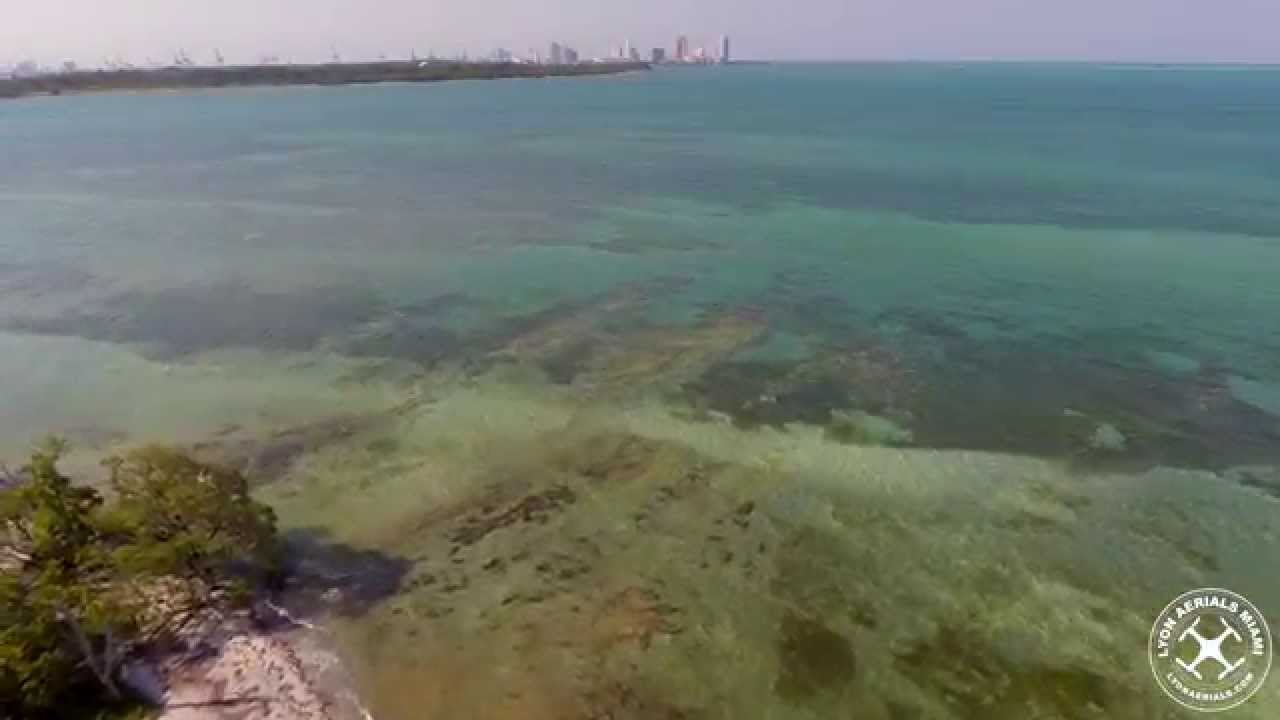 Miami Aerials- Crandon Park & Bear Cut