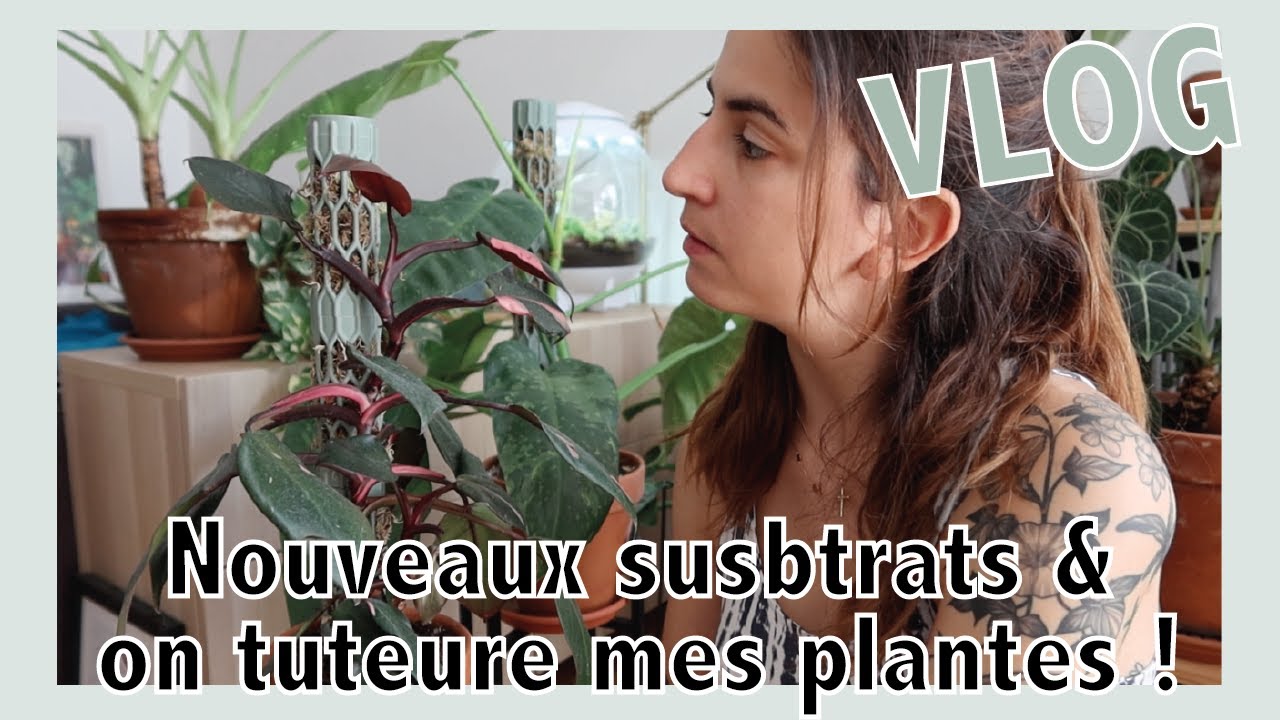 J'installe mes nouveaux tuteurs et on ouvre un gros colis terreau ! #dailyvlog