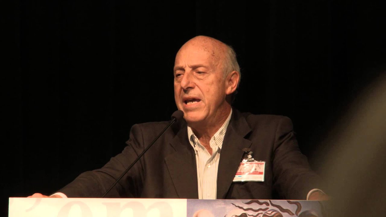 FIAP 2014 MASSIMO AMMANITI Metamorfosi del sé in adolescenza