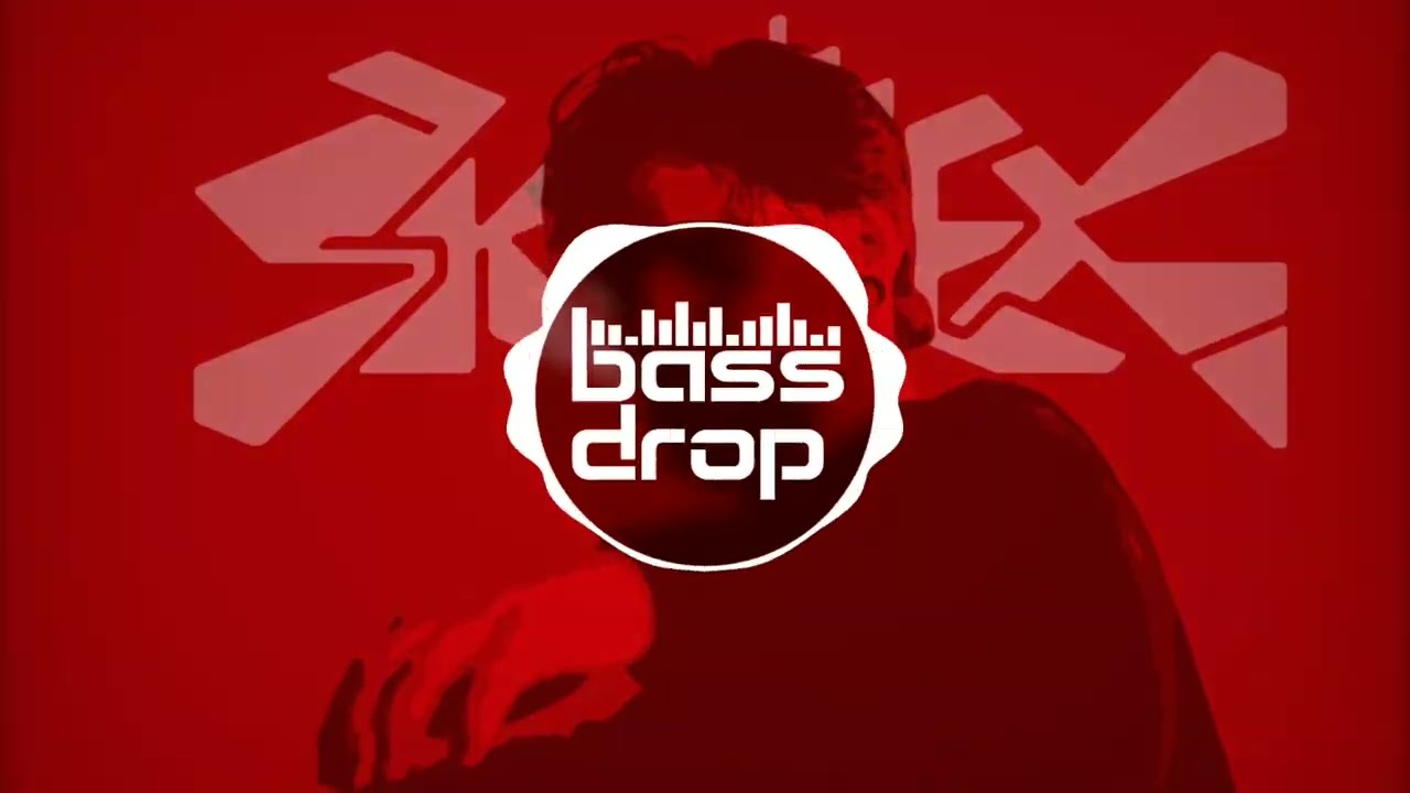 Skrillex & Virtual Riot - While You Were Sleeping