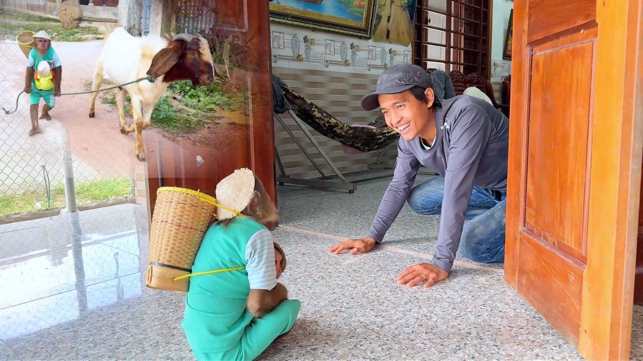 Secret Surprise! Dad's Special Gift for CUTIS After Days Help Family!