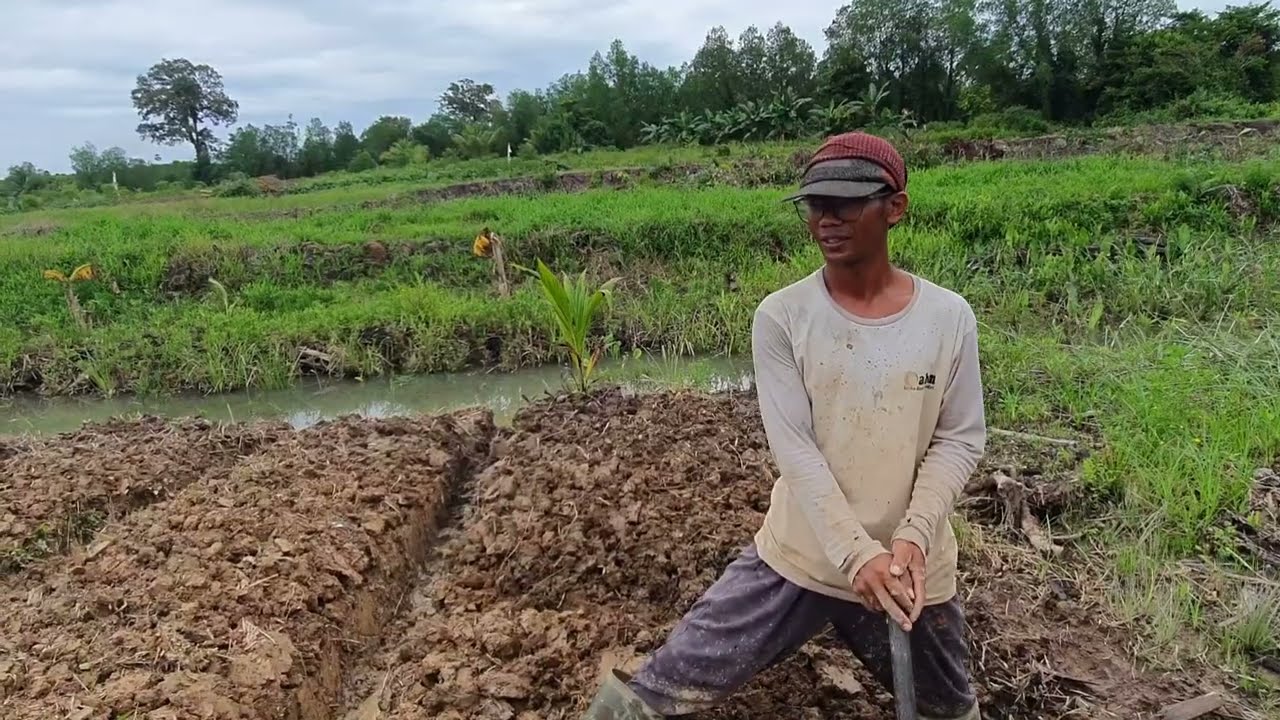 TERNYATA SUDAH BANYAK BEDENGAN DI LAHAN BARU MAS ROHMAT 