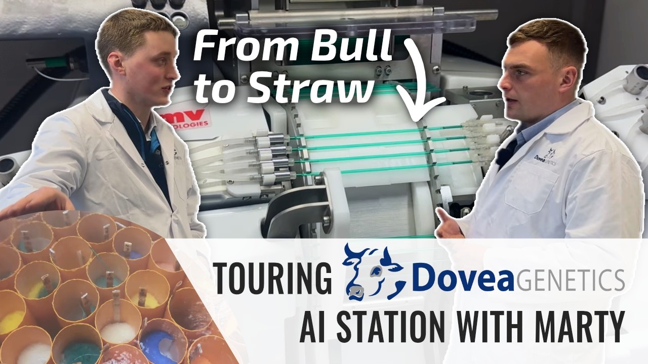 From Bull to Straw: Touring the Dovea Genetics AI station with Marty