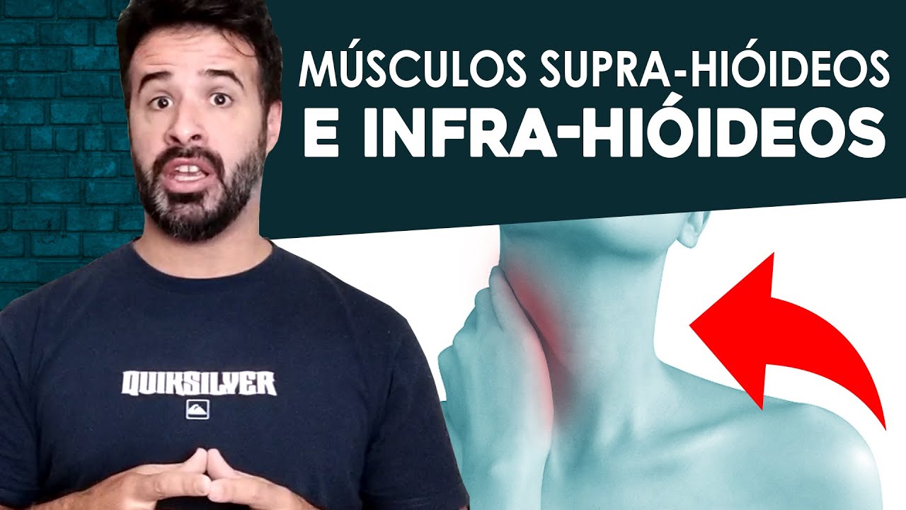 MÚSCULOS SUPRA-HIÓIDEOS E INFRA-HIÓIDEOS.