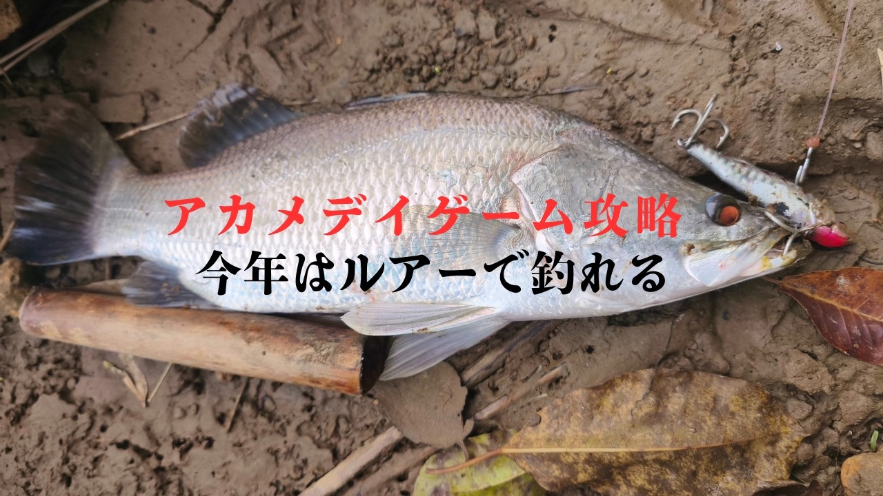 トップでバイブでこれがアカメのデイゲーム　【アカメ攻略①】