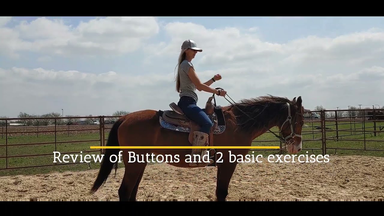 Adult Beginner Western Riding Lessons - Button review and Control exercises