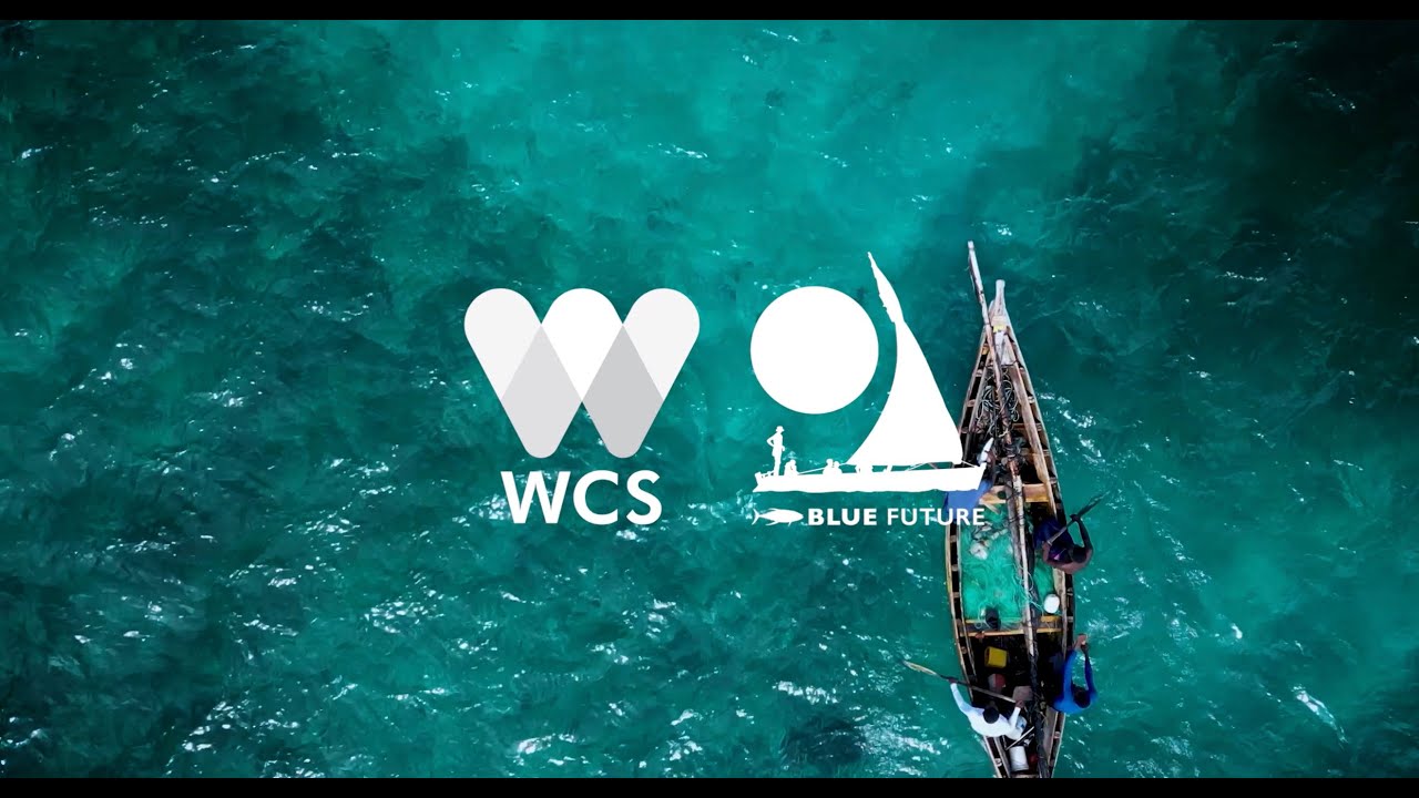 Blue Future Project: Building a Blue Future for Ecosystems and People on the East African Coast