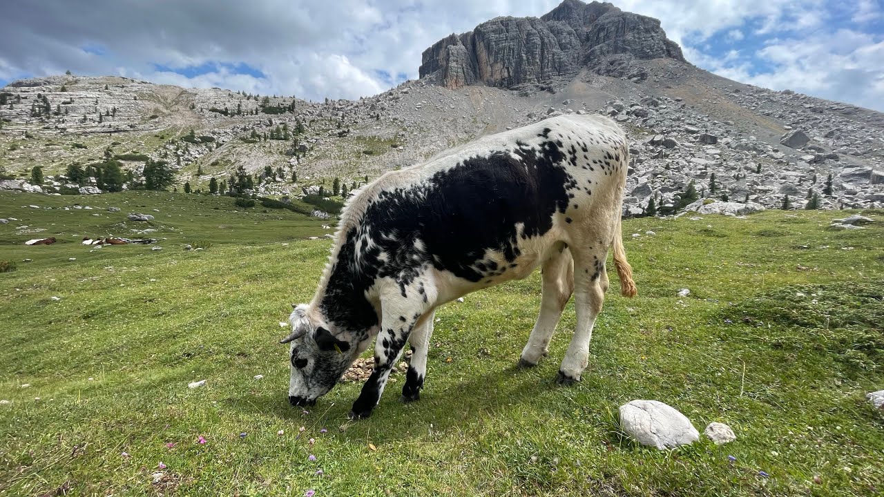 Trailcamp Dolomiten - Tag 3