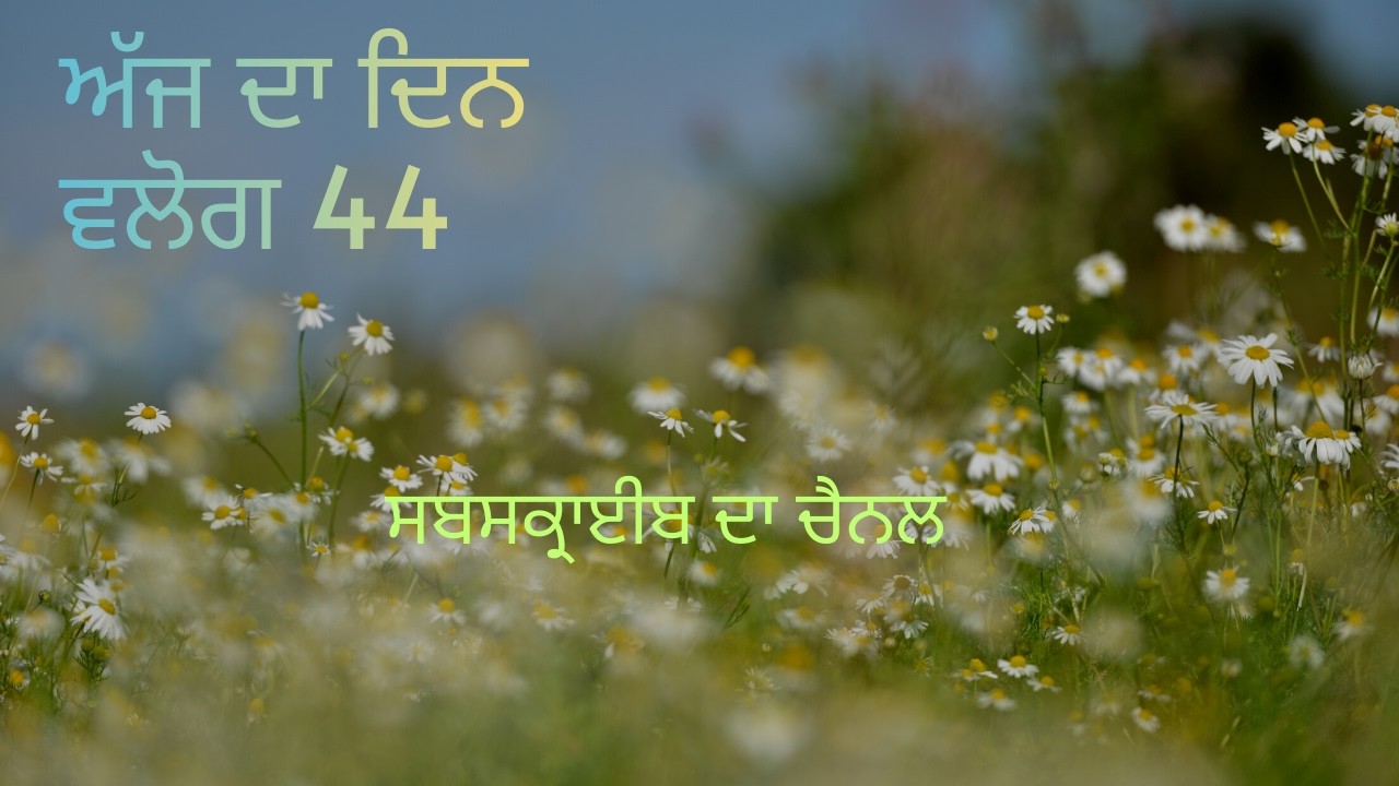 ਅੱਜ ਦਾ ਦਿਨ ਵਲੌਗ 44 | ਮਿੱਟੀ ਦੀ ਹਾਂਡੀ ਵਿੱਚ ਬਣਾਇਆ ਕੁਝ ਸਪੈਸ਼ਲ