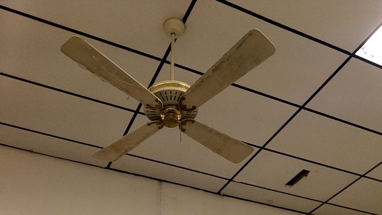 Ceiling Fans at World of Clothing (2012)