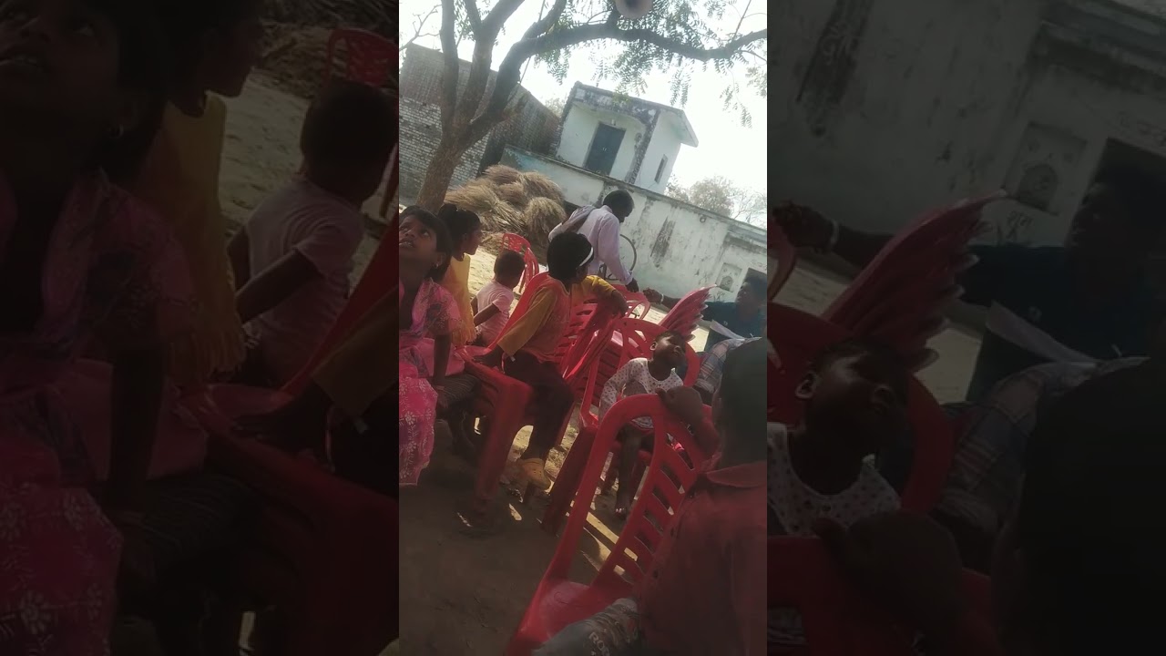 Budigar. Lakhankabebah9519375330