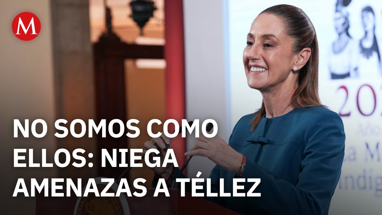 Sheinbaum descarta desafuero para Lilly T&eacute;llez tras declaraciones en EU