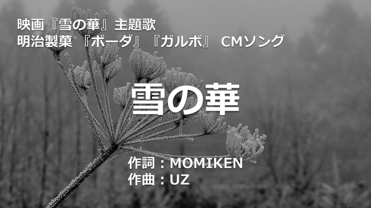 【カラオケ】雪の華 / 中島 美嘉【オフボーカル メロディ有り karaoke】