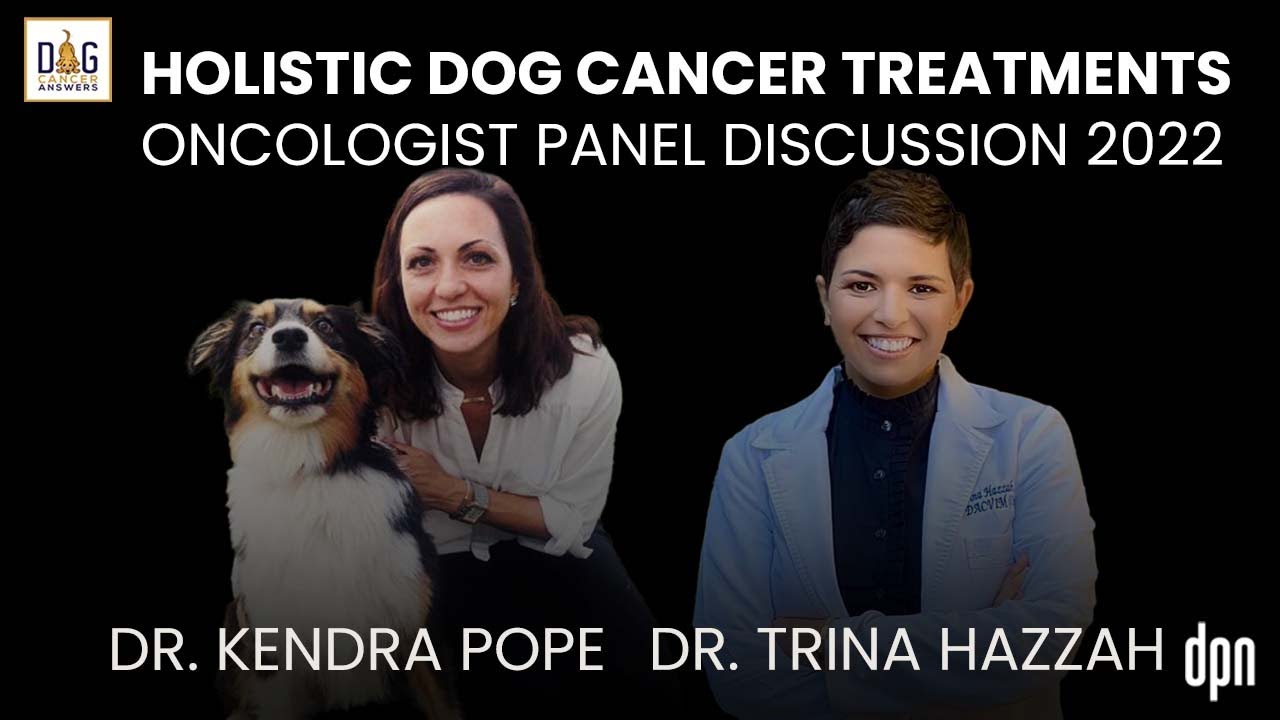 Holistic Dog Cancer Treatments: Oncologist Panel Discussion 2022 | Dr. K. Pope and Dr. T. Hazzah