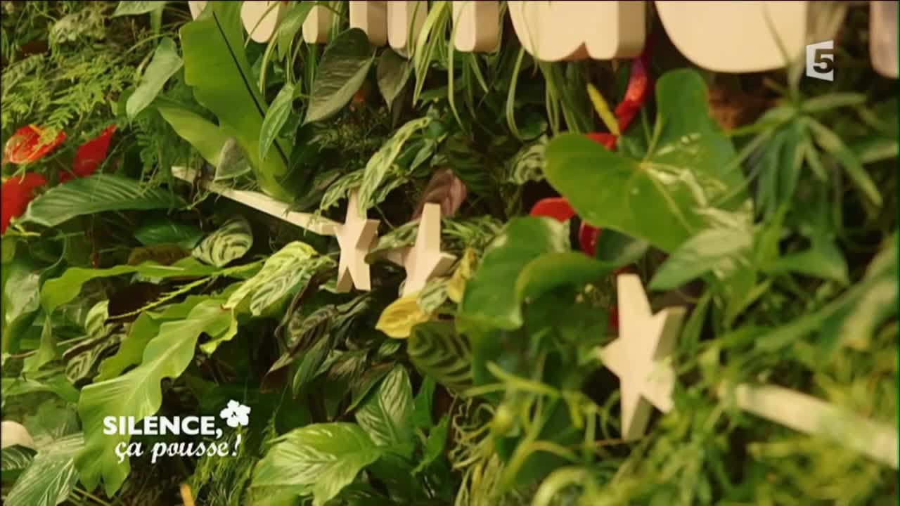 Silence, ça pousse ! - L'intégale du 20/05/2016