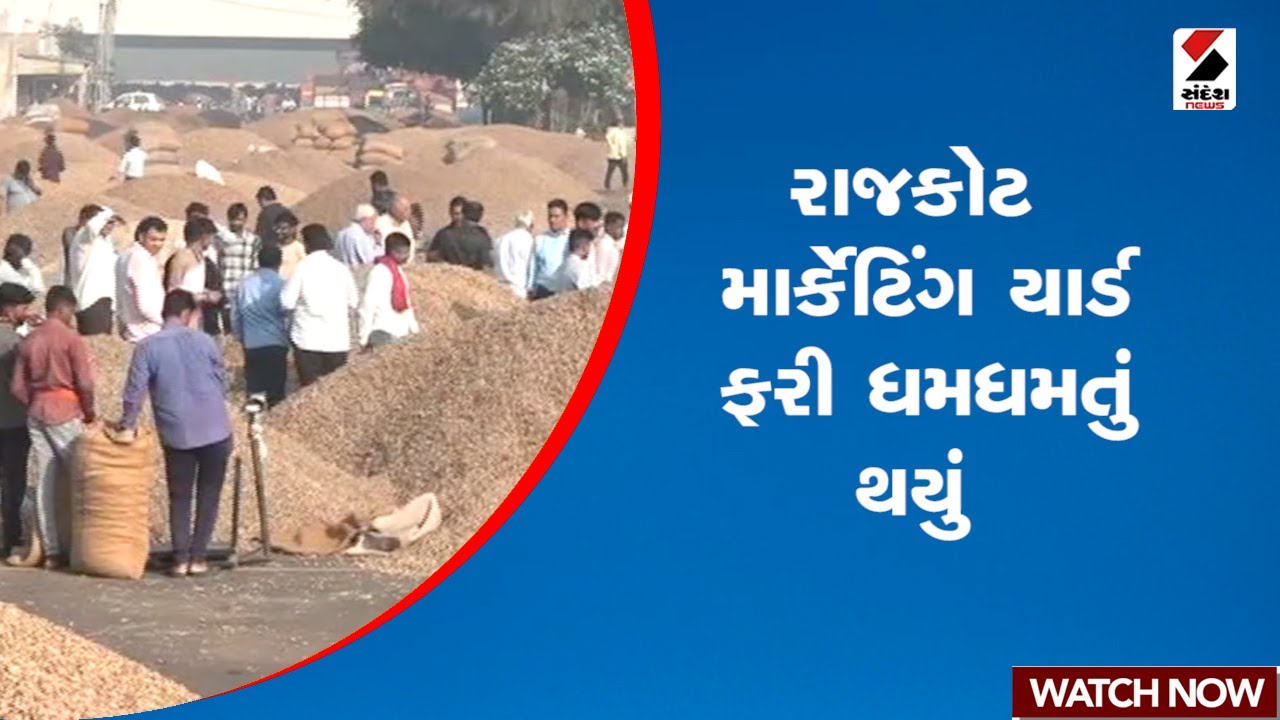 Rajkot | રાજકોટ માર્કેટિંગ યાર્ડ ફરી ધમધમતું થયું | Marketing Yard | Gujarat