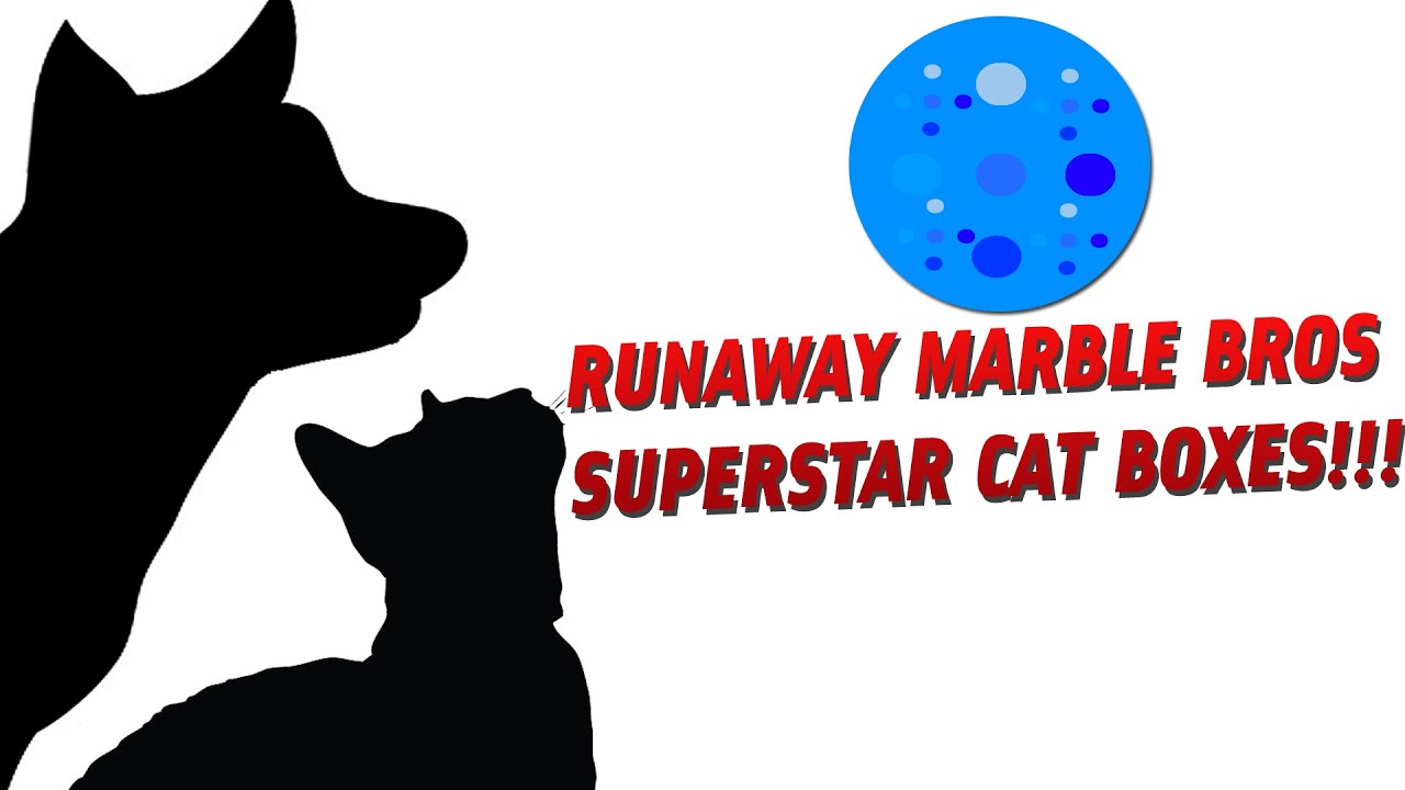CAT GAMES - RUNAWAY MARBLE BROS SUPERSTAR CAT BOXES!!! (FOR CATS ONLY... AND DOGS TOO!)