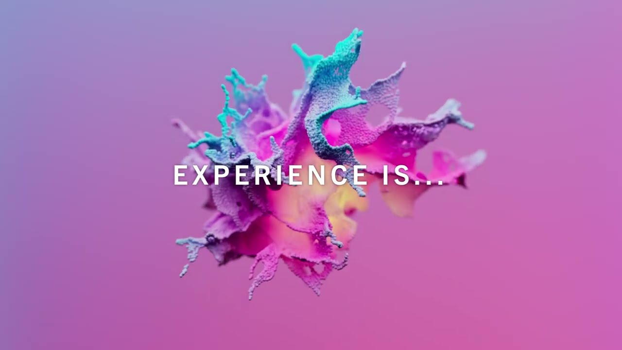 Experience Is... | Brunswick LED Video Wall Solutions