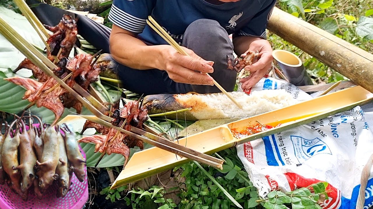 Lâu rồi không gặp được hàng khủng/ / Hôn nay làm một bữa no nê đã/ /thịt rừng tự nhiên #thaovlog